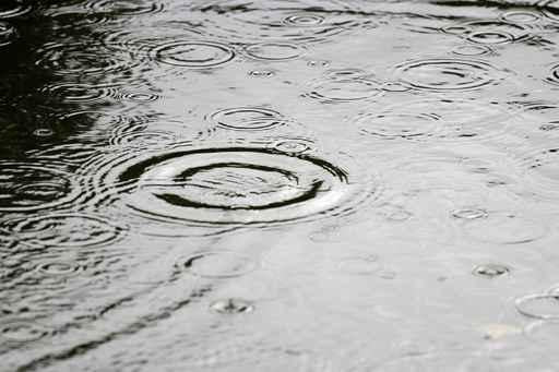 Rain Wall Decal