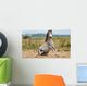 Grey Gelding Arises from Wall Mural