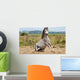 Grey Gelding Arises from Wall Mural