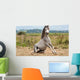Grey Gelding Arises from Wall Mural