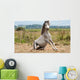 Grey Gelding Arises from Wall Mural