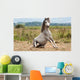 Grey Gelding Arises from Wall Mural