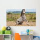 Grey Gelding Arises from Wall Mural
