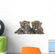 Persian Leopard Cub 6 Weeks Wall Decal