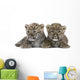 Persian Leopard Cub 6 Weeks Wall Decal