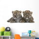 Persian Leopard Cub 6 Weeks Wall Decal