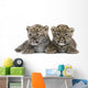 Persian Leopard Cub 6 Weeks Wall Decal