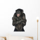 Monkey Listening Music Wall Decal