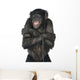 Monkey Listening Music Wall Decal
