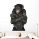 Monkey Listening Music Wall Decal