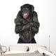 Monkey Listening Music Wall Decal