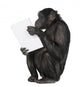 Monkey playing with a laptop Wall Decal