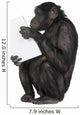 Monkey playing with a laptop Wall Decal