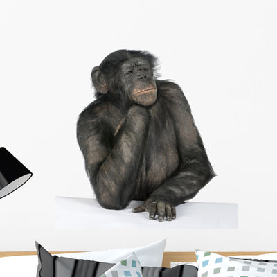 Monkey Table Wall Decal shown on a wall