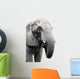 head of elephant on white background Wall Decal