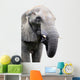 head of elephant on white background Wall Decal