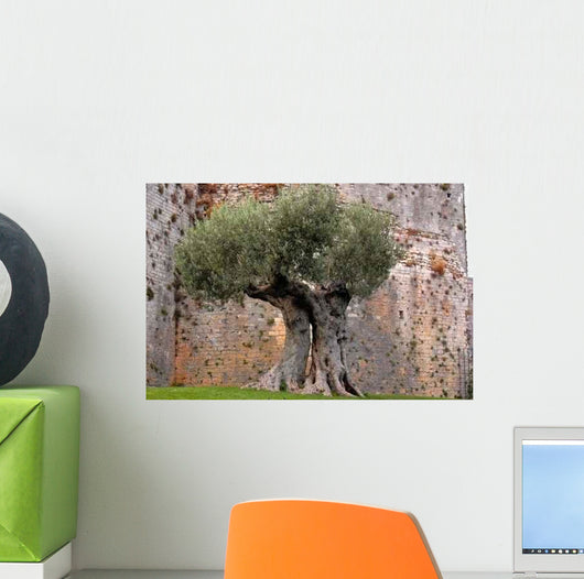 Oliver's Tenderness Wall Decal