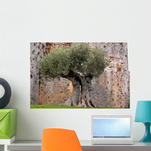 Oliver's Tenderness Wall Decal