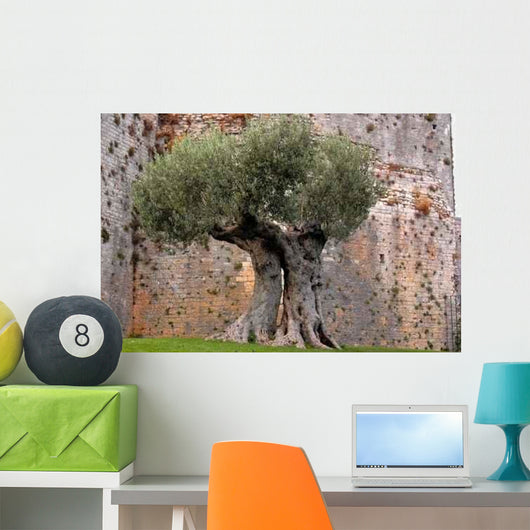 Oliver's Tenderness Wall Decal