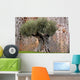 Oliver's Tenderness Wall Decal