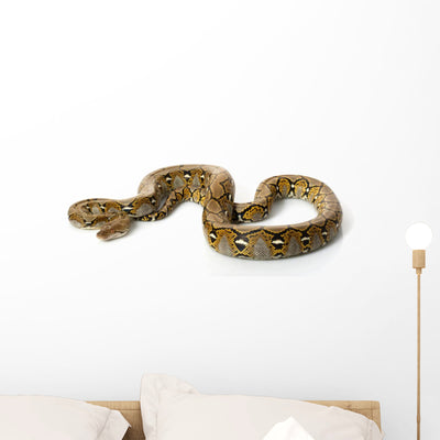 Reticulated Python Wall Decal shown on a wall