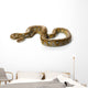 Reticulated Python Wall Decal