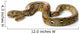 Reticulated Python Wall Decal