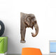 Elephant Wall Decal