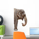 Elephant Wall Decal