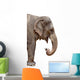 Elephant Wall Decal