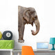 Elephant Wall Decal