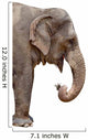 Elephant Wall Decal