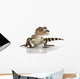 American Alligator Wall Mural