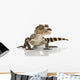 American Alligator Wall Mural
