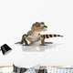 American Alligator Wall Mural