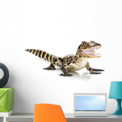 Baby American Alligator Wall Decal shown on a wall