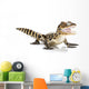 baby American alligator Wall Decal