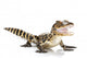 baby American alligator Wall Decal