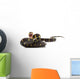 Mangrove Snake Wall Decal