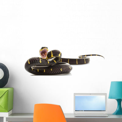 Mangrove Snake Wall Decal shown on a wall