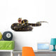 Mangrove Snake Wall Decal