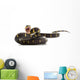 Mangrove Snake Wall Decal