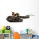 Mangrove Snake Wall Decal