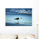 Seagul Holding Starfish It's Wall Mural