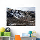aspen, colorado Wall Mural
