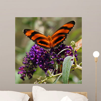Striped Butterfly Wall Mural shown on a wall