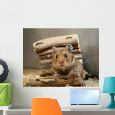 Little Hamster Wall Mural shown on a wall
