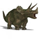 Dinosaur Triceratops Wall Decal