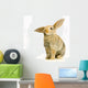 rabbit on white background Wall Decal