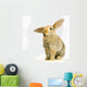 rabbit on white background Wall Decal